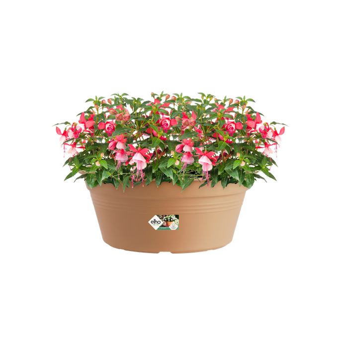 green basics coupe 38cm terre cuite doux